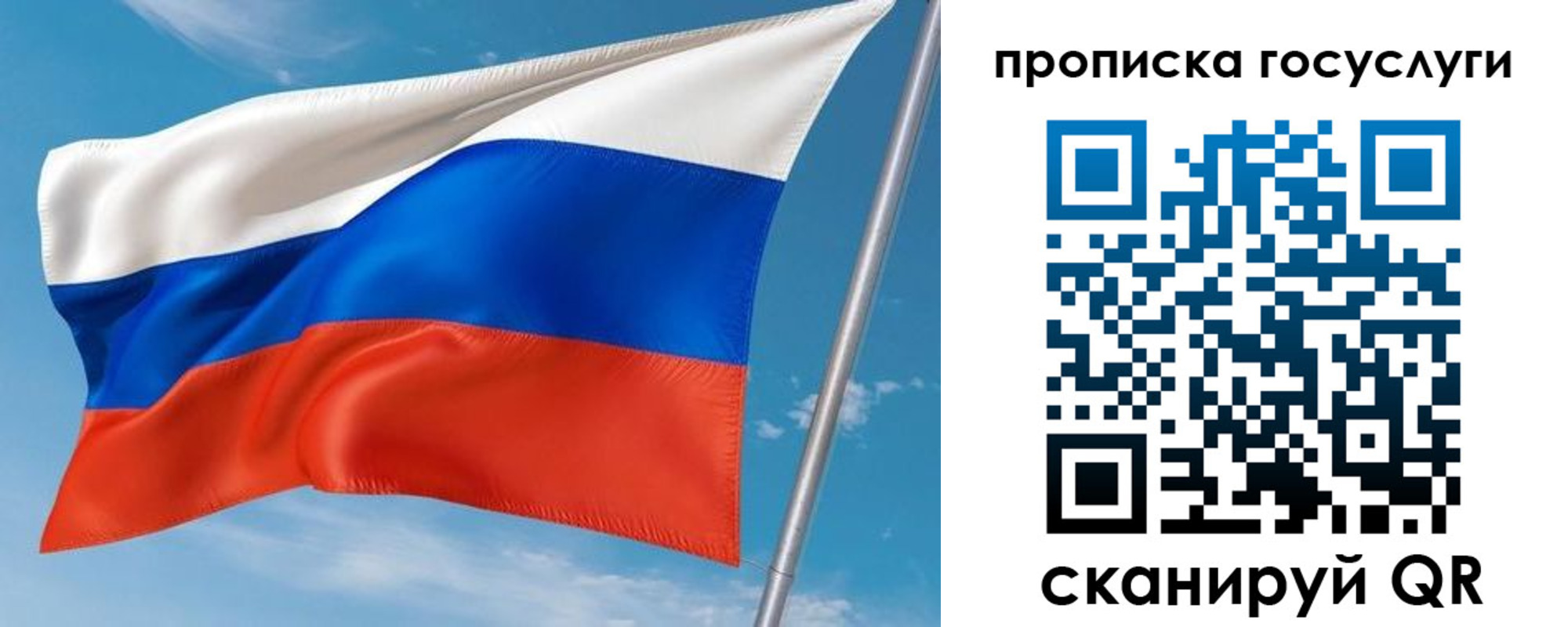 прописка в Пионерском