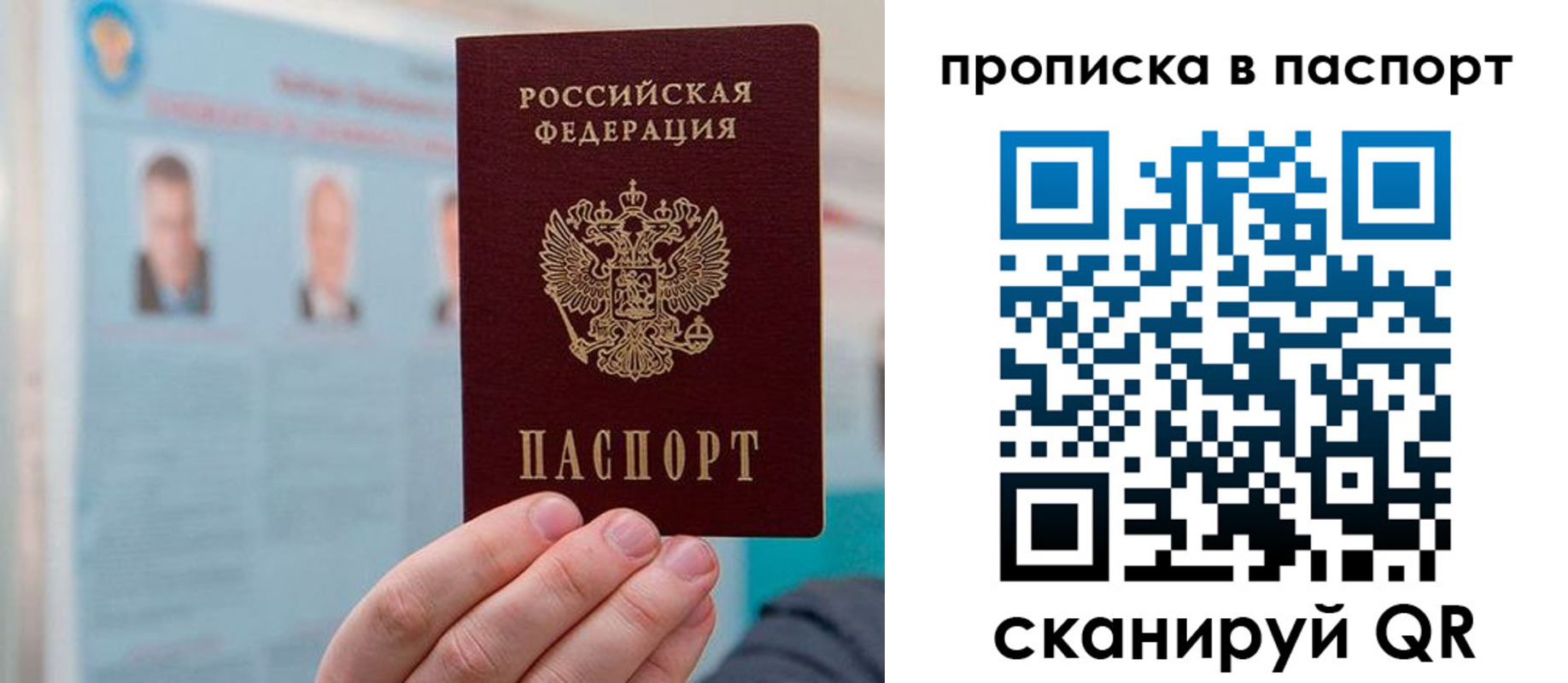 прописка гарантия в Пионерском